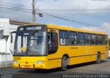 Empresa de Ônibus Campo Largo 22050 na cidade de Campo Largo, Paraná, Brasil, por Alessandro Fracaro Chibior. Número da foto: #2399083.