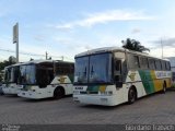 Empresa Gontijo de Transportes 10110 na cidade de Viana, Espírito Santo, Brasil, por Giordano Trabach. Número da foto: #2402347.