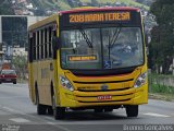 FAOL - Friburgo Auto Ônibus 034 na cidade de Nova Friburgo, Rio de Janeiro, Brasil, por Brenno Gonçalves. Número da foto: #:id.