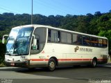 Paraibuna Transportes 13010 na cidade de Juiz de Fora, Minas Gerais, Brasil, por Renan Vieira. Número da foto: #2408579.