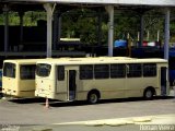 VSFL - Viação São Francisco 250 na cidade de Juiz de Fora, Minas Gerais, Brasil, por Renan Vieira. Número da foto: #2470778.