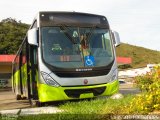 Milênio Transportes TORINO 2014 na cidade de Juiz de Fora, Minas Gerais, Brasil, por Tailisson Fernandes. Número da foto: #:id.