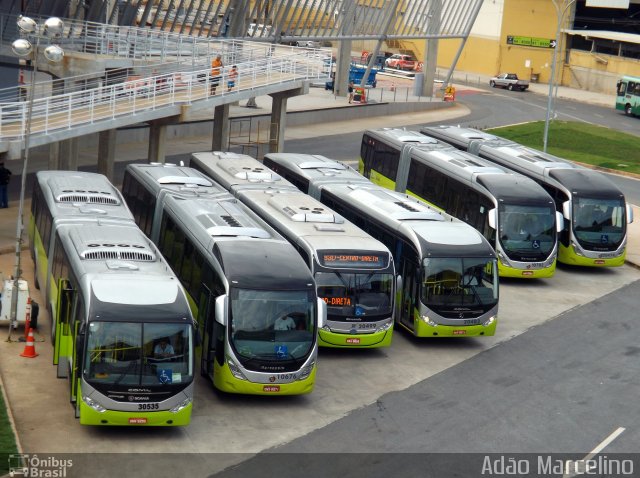Bettania Ônibus 30535 na cidade de Belo Horizonte, Minas Gerais, Brasil, por Adão Raimundo Marcelino. Número da foto: #2474929.