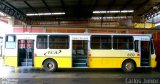 TCA - Transportes Coletivos Anápolis 8139 na cidade de Anápolis, Goiás, Brasil, por Carlos Júnior. Número da foto: #2474086.