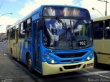 VSFL - Viação São Francisco 102 na cidade de Juiz de Fora, Minas Gerais, Brasil, por Renan Vieira. Número da foto: #2479855.