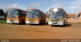 Advance Catedral Transportes 73300 na cidade de Luziânia, Goiás, Brasil, por Allan  Meirelles. Número da foto: #2481557.