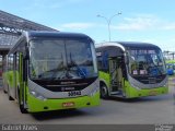 Bettania Ônibus 30542 na cidade de Belo Horizonte, Minas Gerais, Brasil, por Matheus  Felipe. Número da foto: #2482059.