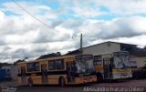 Transportes Coletivos Nossa Senhora da Piedade EP2249 na cidade de Campo Largo, Paraná, Brasil, por Alessandro Fracaro Chibior. Número da foto: #2484040.