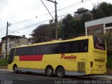 Paraíso Turismo 4455-1 na cidade de Juiz de Fora, Minas Gerais, Brasil, por Luiz Krolman. Número da foto: #2485004.