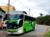 Pássaro Verde 12126 na cidade de Mariana, Minas Gerais, Brasil, por César Natividade. Número da foto: #:id.