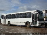 Ônibus Particulares 9165 na cidade de Campo Alegre, Alagoas, Brasil, por Thiago Alex. Número da foto: #2456755.