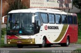 Rouxinol 815 na cidade de Manhuaçu, Minas Gerais, Brasil, por Ricardo  Knupp Franco. ID da foto: :id.