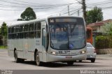 Viação Tamandaré 16L37 na cidade de Curitiba, Paraná, Brasil, por Matheus  Augusto. Número da foto: #2492821.
