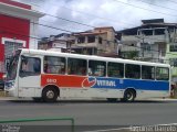 Vitral - Violeta Transportes 8843 na cidade de Salvador, Bahia, Brasil, por Faguiner Barreto. ID da foto: :id.
