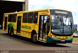 Viação Garcia 7971 na cidade de Apucarana, Paraná, Brasil, por Pedroka Ternoski. Número da foto: #2496309.