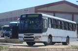 Ônibus Particulares 9165 na cidade de Maceió, Alagoas, Brasil, por Thiago Alex. ID da foto: :id.