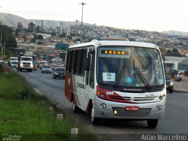 Rouxinol 888 na cidade de Belo Horizonte, Minas Gerais, Brasil, por Adão Raimundo Marcelino. Número da foto: #2499591.