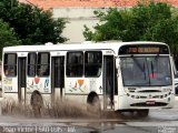 Viação Primor 36-084 na cidade de São Luís, Maranhão, Brasil, por João Victor. Número da foto: #:id.