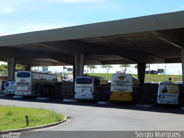 Empresa Gontijo de Transportes 15015 na cidade de Aracaju, Sergipe, Brasil, por Sergio Marques . ID da foto: 2504693.