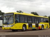 Viação Pioneira 223778 na cidade de Caxias do Sul, Rio Grande do Sul, Brasil, por Marcio  Bruxel. Número da foto: #2457635.