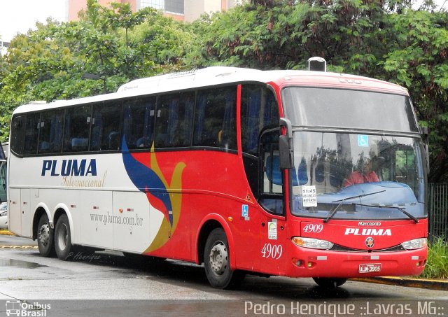 Pluma Conforto e Turismo 4909 na cidade de São Paulo, São Paulo, Brasil, por Pedro Henrique Gumercindo da Silva. Número da foto: #2460742.