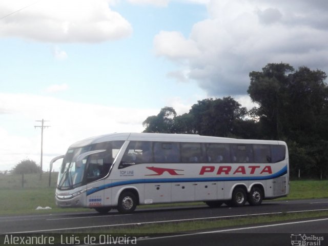 Expresso de Prata 461386 na cidade de Botucatu, São Paulo, Brasil, por Alexandre  Luis de Oliveira. Número da foto: #2462096.