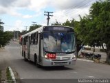 Borborema Imperial Transportes 147 na cidade de Recife, Pernambuco, Brasil, por Matheus Fernando. Número da foto: #2466308.