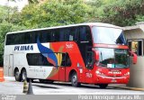 Pluma Conforto e Turismo 7011 na cidade de São Paulo, São Paulo, Brasil, por Pedro Henrique Gumercindo da Silva. Número da foto: #2464208.