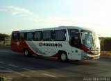 Rouxinol 440 na cidade de Belo Horizonte, Minas Gerais, Brasil, por Adão Raimundo Marcelino. Número da foto: #2468016.