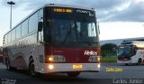 Helios Coletivos e Cargas 336 na cidade de Goiânia, Goiás, Brasil, por Carlos Júnior. Número da foto: #2467122.