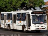 Viação Primor 36-086 na cidade de São Luís, Maranhão, Brasil, por João Victor. Número da foto: #2469579.