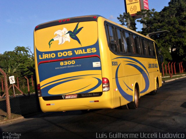 Viação Lírio dos Vales 8300 na cidade de Vitória, Espírito Santo, Brasil, por Luis Guilherme Ucceli Ludovico. Número da foto: #2509874.