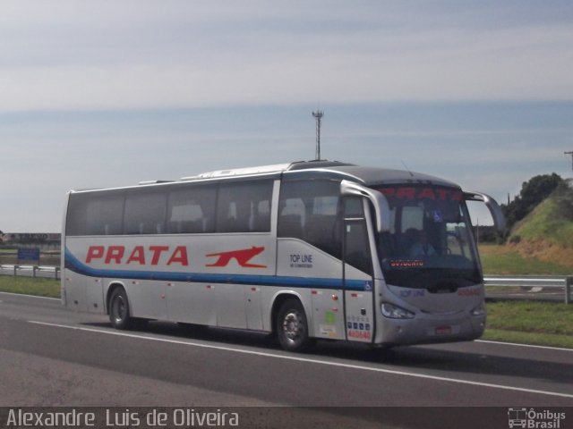 Expresso de Prata 460640 na cidade de Botucatu, São Paulo, Brasil, por Alexandre  Luis de Oliveira. Número da foto: #2529615.