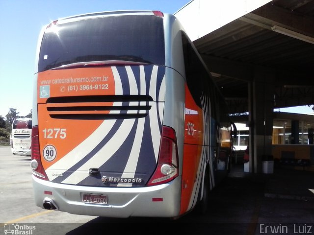 Catedral Turismo 1275 na cidade de Ribeirão Preto, São Paulo, Brasil, por Erwin  Luiz. Número da foto: #2530171.