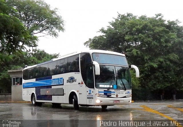 VIDA - Viação Danúbio Azul 8011 na cidade de São Paulo, São Paulo, Brasil, por Pedro Henrique Gumercindo da Silva. Número da foto: #2533203.