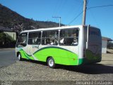 Turin Transportes 3140 na cidade de Ouro Preto, Minas Gerais, Brasil, por Alexandre Eustáquio. Número da foto: #2532204.