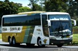 Empresa Gontijo de Transportes 11560 na cidade de Assis, São Paulo, Brasil, por Francisco Ivano. Número da foto: #2534690.