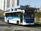 Viação Vaz 02 650 na cidade de Santo André, São Paulo, Brasil, por Ricardo Liberino. ID da foto: :id.