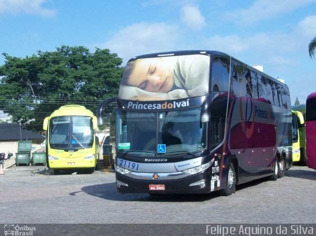 Princesa do Ivaí 21191 na cidade de Curitiba, Paraná, Brasil, por Felipe Aquino da Silva. Número da foto: #2535728.