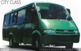 Iveco 6013 na cidade de Sete Lagoas, Minas Gerais, Brasil, por Marco Antonio da Silva. Número da foto: #2534849.