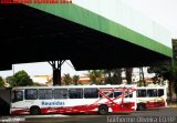 Empresa Reunidas Paulista de Transportes 167303 na cidade de Bauru, São Paulo, Brasil, por Guilherme Oliveira. Número da foto: #:id.