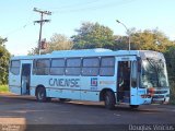 Empresa Caiense de Ônibus 11008 na cidade de São Leopoldo, Rio Grande do Sul, Brasil, por Douglas Vinicius. Número da foto: #:id.