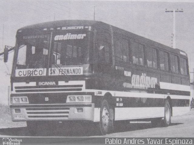 Andimar 55 na cidade de Curicó, Curicó, Maule, Chile, por Pablo Andres Yavar Espinoza. Número da foto: #2543560.