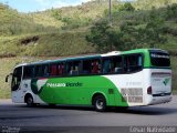 Pássaro Verde 27012 na cidade de Mariana, Minas Gerais, Brasil, por César Natividade. Número da foto: #:id.