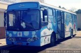 Transportes Coletivos Nossa Senhora da Piedade DR. DENTãO na cidade de Campo Largo, Paraná, Brasil, por Alessandro Fracaro Chibior. Número da foto: #2547318.
