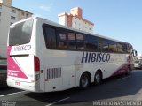 Hibisco Turismo 1100 na cidade de Belo Horizonte, Minas Gerais, Brasil, por Maurício Nascimento. Número da foto: #:id.