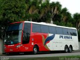 Pluma Conforto e Turismo 7214 na cidade de Curitiba, Paraná, Brasil, por Luiz Scarabotto . Número da foto: #2552889.
