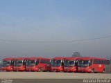 Julio Simões > CS Brasil - JSL 073 na cidade de São Bernardo do Campo, São Paulo, Brasil, por Sandro Alves. Número da foto: #2553312.