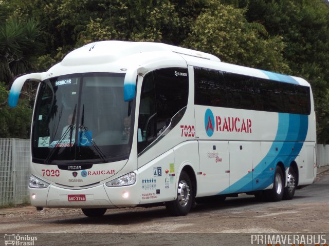 Araucar Locação de Veículos 7020 na cidade de Curitiba, Paraná, Brasil, por Alexandre Rodrigo. ID da foto: 2556010.