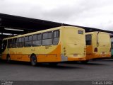 SM Transportes 10077 na cidade de Belo Horizonte, Minas Gerais, Brasil, por Lucas Leite. ID da foto: :id.